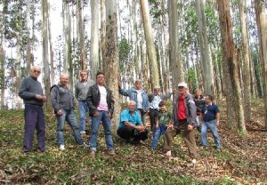 Produtores de Madeira